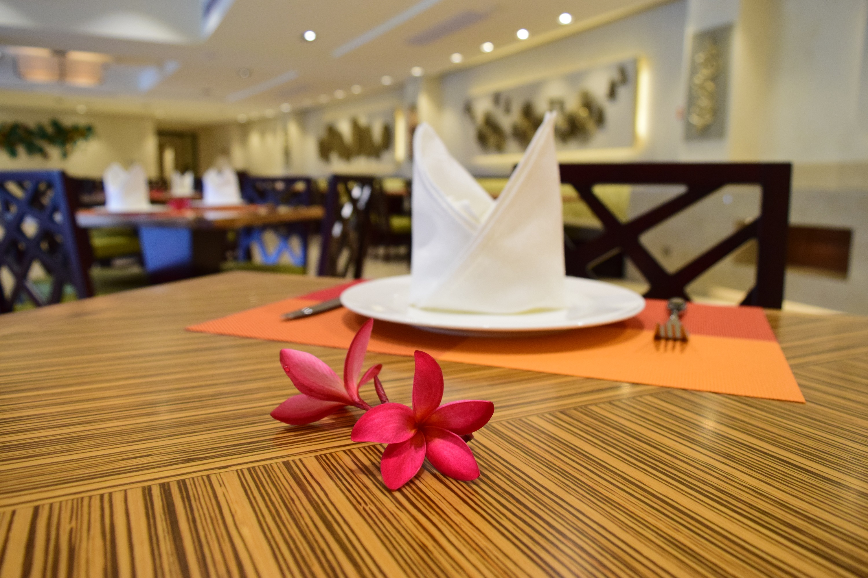 151936645214123065F6.jpg 8 (7).JPG