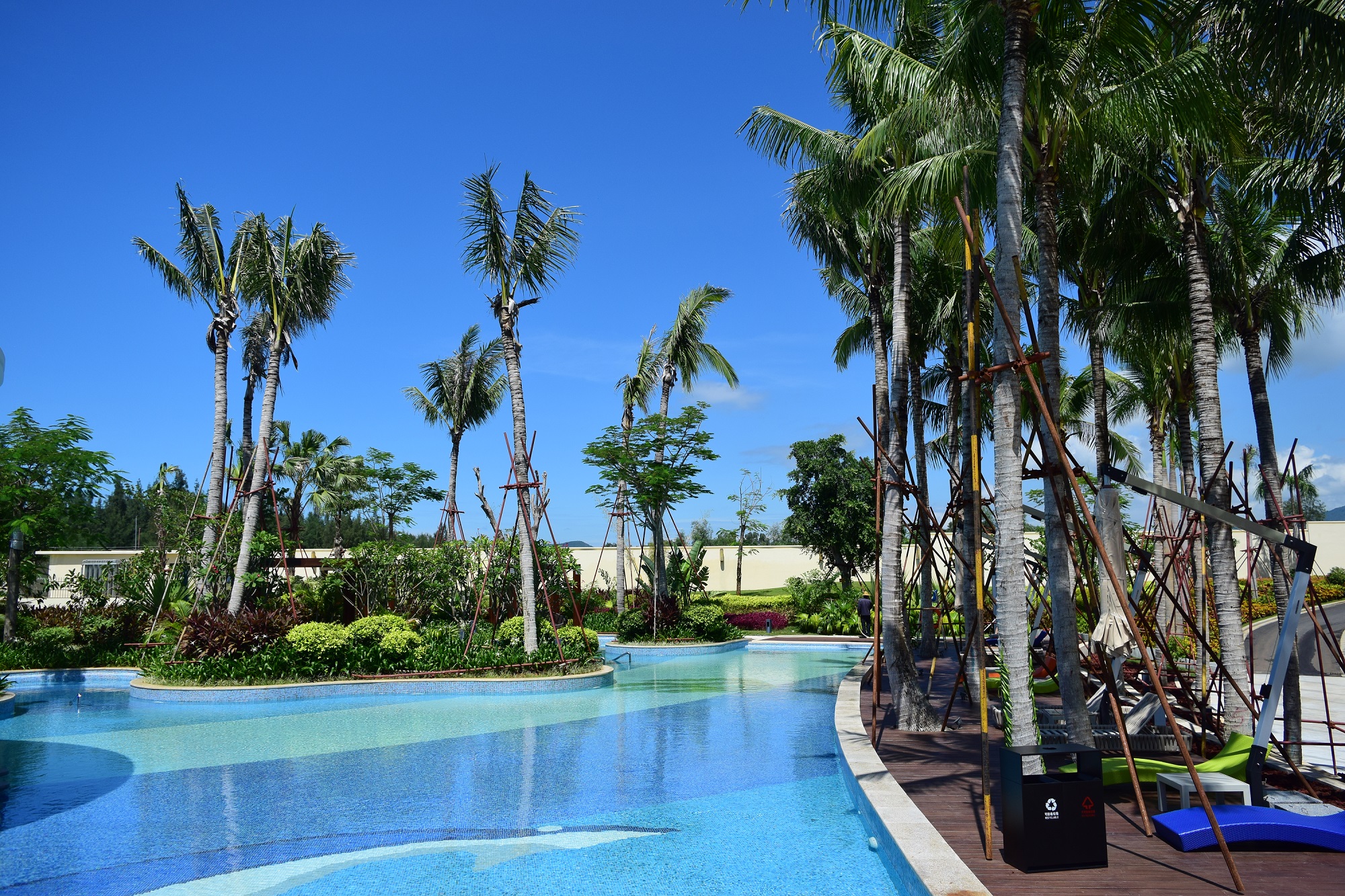 15193665328552139D8F.jpg 8 (13).JPG