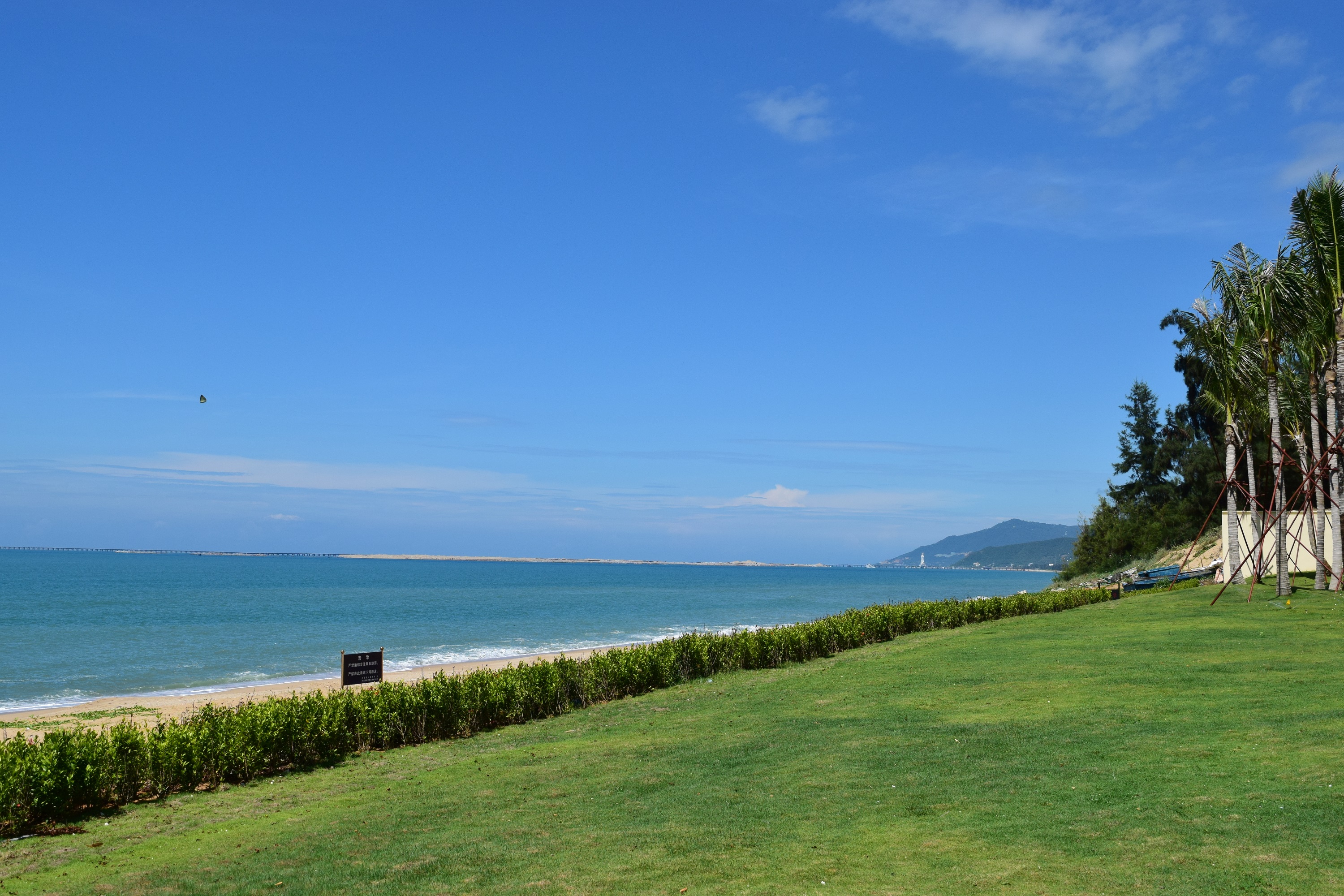 15193665721212203B79.jpg 8 (19).JPG