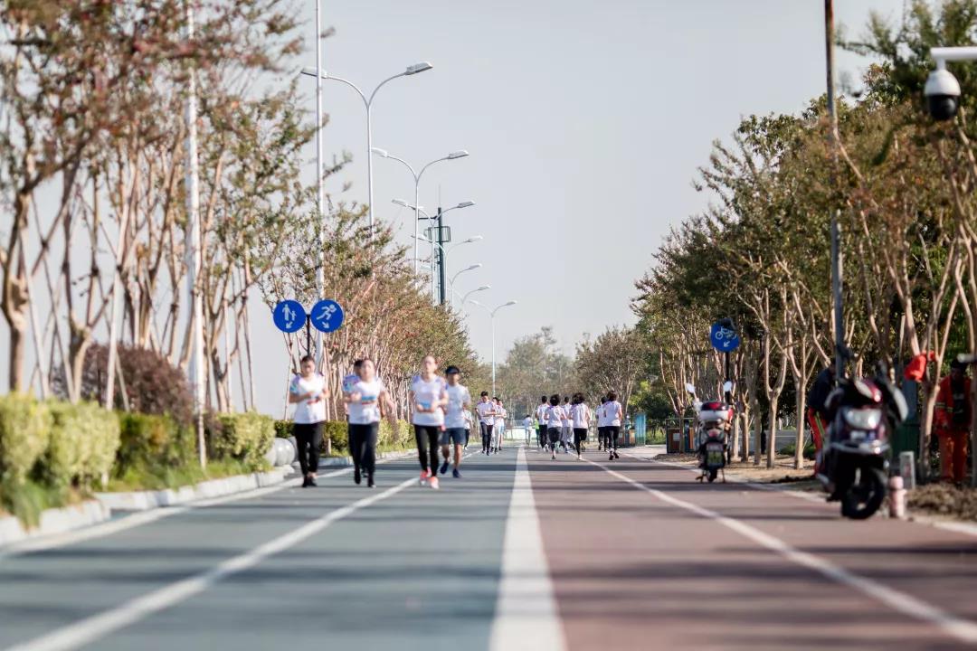 1542275455986847p4C1.jpg 2.jpg